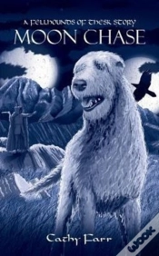 Capa do artigo Moon Chase
