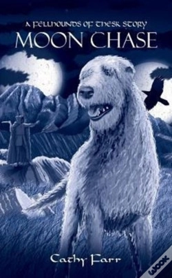 Capa do artigo Moon Chase