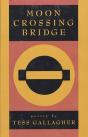 Moon Crossing Bridge - Preview