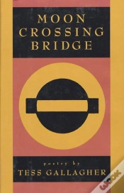 Capa do artigo Moon Crossing Bridge