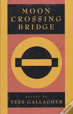 Capa do artigo Moon Crossing Bridge