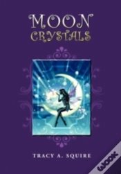 Capa do artigo Moon Crystals