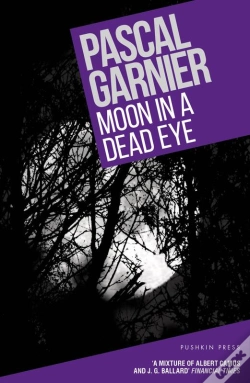Capa do artigo Moon In A Dead Eye