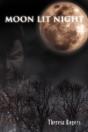 Moon Lit Night - Preview