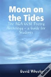 Capa do artigo Moon On The Tides