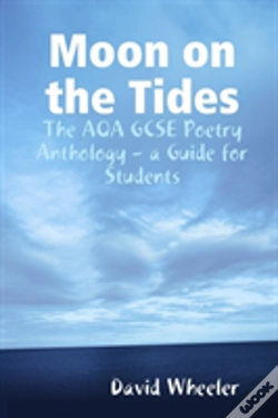 Capa do artigo Moon On The Tides