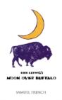 Moon Over Buffalo - Preview