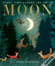 Capa do artigo Moon
