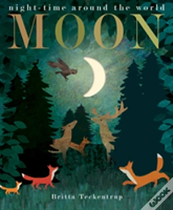 Capa do artigo Moon