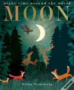 Capa do artigo Moon