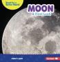 Moon - Preview