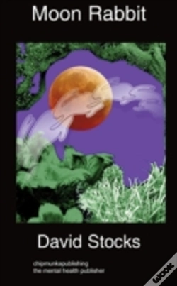 Capa do artigo Moon Rabbit