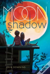 Capa do artigo Moon Shadow