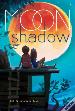 Capa do artigo Moon Shadow