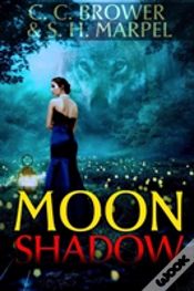Capa do artigo Moon Shadow