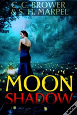 Capa do artigo Moon Shadow