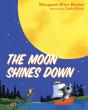 Moon Shines Down - Preview
