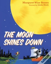Capa do artigo Moon Shines Down