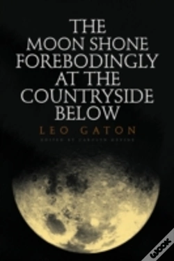 Capa do artigo Moon Shone Forebodingly At The Countryside Below