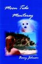 Moon Tide Monterey - Preview