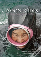 Capa do artigo Moon Tides