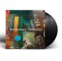 MoonDial - Vinil - Preview