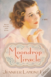 Capa do artigo Moondrop Miracle