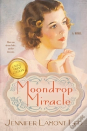 Capa do artigo Moondrop Miracle