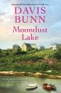 Moondust Lake - Preview