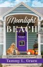 Moonlight Beach - Preview