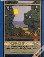 Capa do artigo Moonlight In Duneland