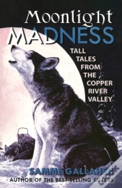 Capa do artigo Moonlight Madness