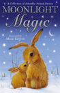 Moonlight Magic - Preview