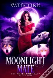 Capa do artigo Moonlight Mate