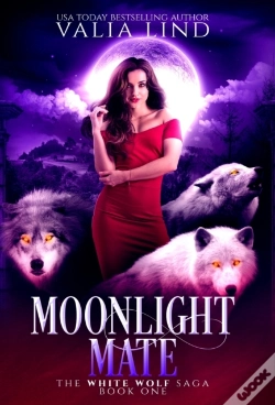 Capa do artigo Moonlight Mate