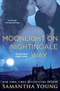 Moonlight On Nightingale Way - Preview