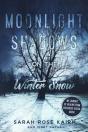 Moonlight Shadows On The Winter Snow - Preview