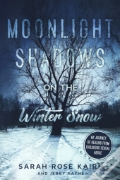 Moonlight Shadows On The Winter Snow