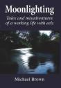 Moonlighting - Preview