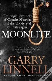 Capa do artigo Moonlite