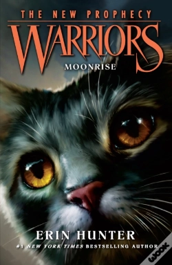 Capa do artigo Moonrise