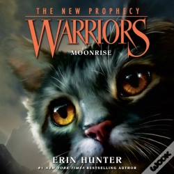 Capa do artigo Moonrise
