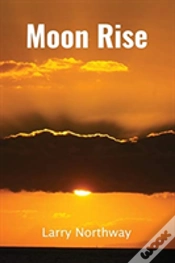 Capa do artigo Moonrise
