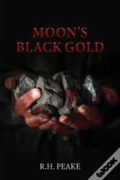 Capa do artigo Moon