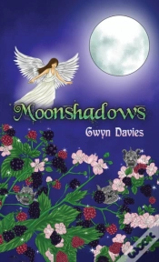 Capa do artigo Moonshadows