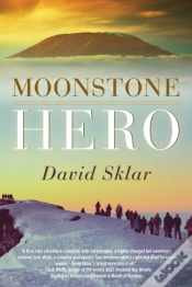 Capa do artigo Moonstone Hero