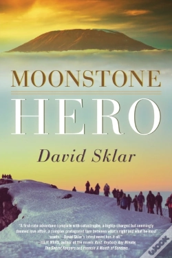 Capa do artigo Moonstone Hero