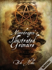 Capa do artigo Moordragon