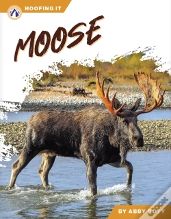 Capa do artigo Moose
