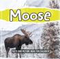 Moose - Preview